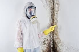 Best Comprehensive Air Testing for Mold Contaminants  in Seabrook Island, SC